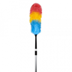 Duster with Telescopic Handle