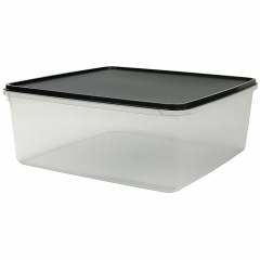 Cuisine Queen Square Container with lid 8L