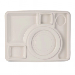 Aladdin Century II Server Ivory Carton of 10