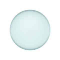 Pro.mundi Graze Flat Plate 230mm Mint