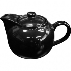Roma Tea Pot with Infuser 600ml Black
