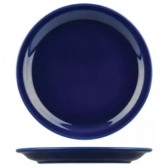 Healthcare Narrow Rim Plate 205mm Solid Blue