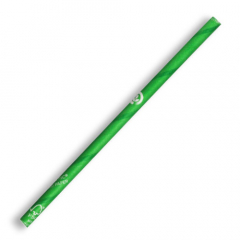 Biopak Cocktail Green Paper Straw 4.5x120mm