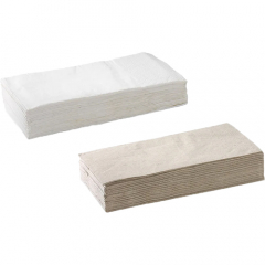 BioNapkin Dinner 2 Ply 1/8 Fold Pack of 100
