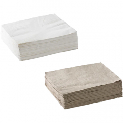 BioNapkin Lunch 2 Ply 1/4 Fold Pack of 100