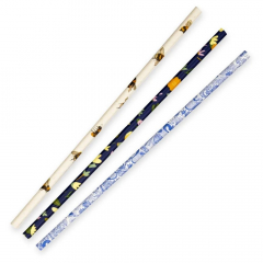 Biopak 6mm Regular BioStraw
