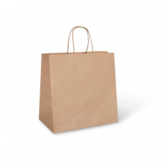 Paper Bag with Twist Handle Large Brown 305mm per