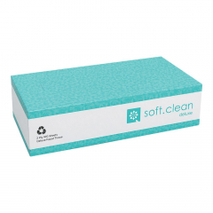 Soft Clean Deluxe Facial Tissue Flat 2 Ply - 100 sheets