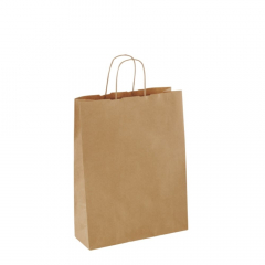Detpak Paper Twist Handle Carry Bag