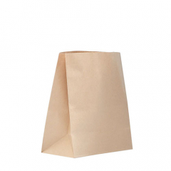 Checkout Bag Kraft Small Carton of 250