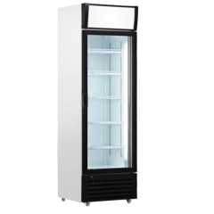 Pro.Equip Upright 1 Glass Door Beverage Chiller 400L