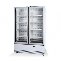 Skope ActiveCore 2 BME1200N-A Glass 2 Door Chiller