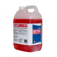 CTR Ecolab Sanitiser No Rinse Food Service 5L