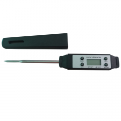 Digital Thermometer