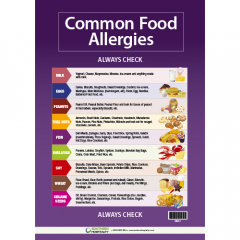 Food Safety Poster Common Allergies A3