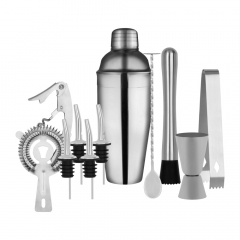 Zanzi Cocktail Set Stainless Steel 11 Pieces Plus Bartender Bag