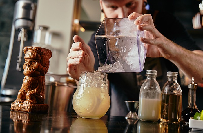 Ice Crusher Southern Hospitality