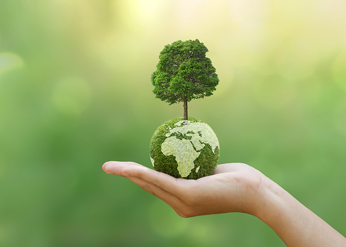 Environment