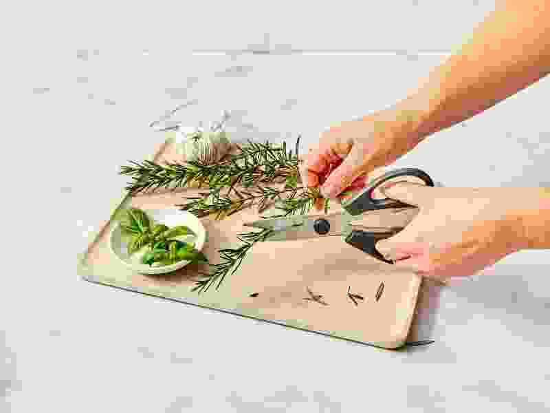 Commercial kitchen shears and food preparation tools for daily foodservice tasks