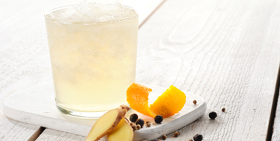 Pacojet Gin
