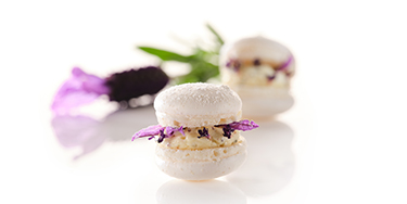 Lavender Ganache