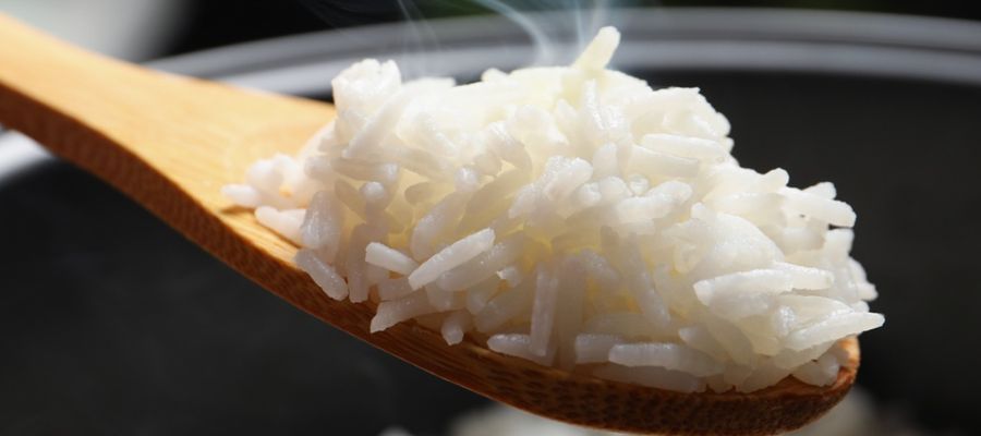 pro.equip rice cooker