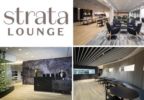 Southern Hospitality Commercial Kitchen Design