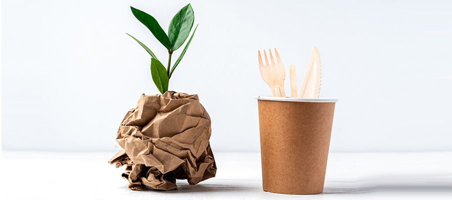 Biodegradable vs Compostable Food Packaging