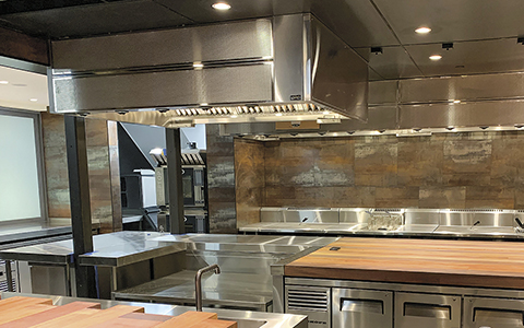 Extraction Canopies
